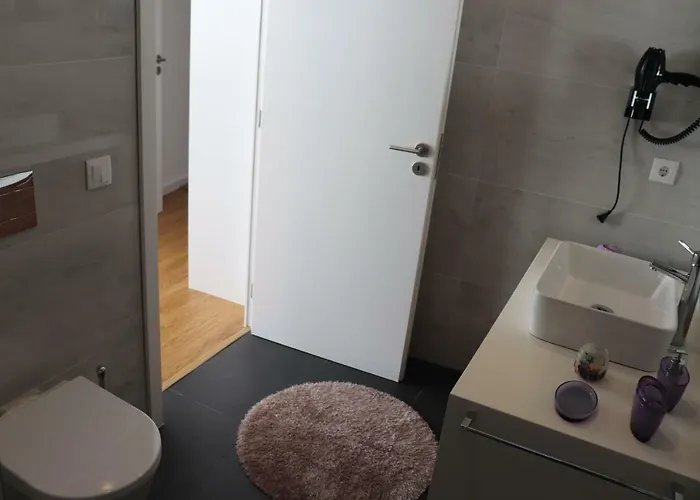 Casa vacanze Quinta Do Perguntouro Barrosas (Santo Estevao)